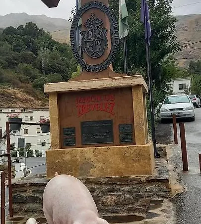 Alojamiento Rural Con Vistas Al Rio Apartamento Trevélez